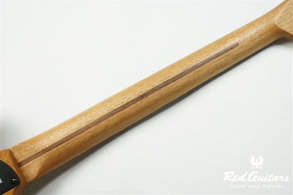 Acoustasonic Player Telecaster - Arctic White